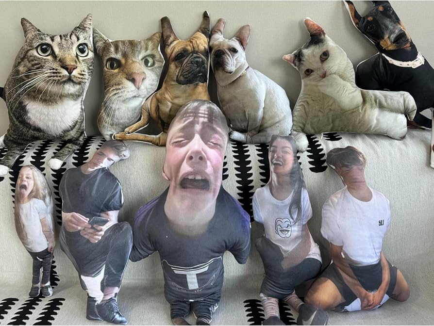 Collection of custom photo pillows of cats, dogs and people on a sofa
