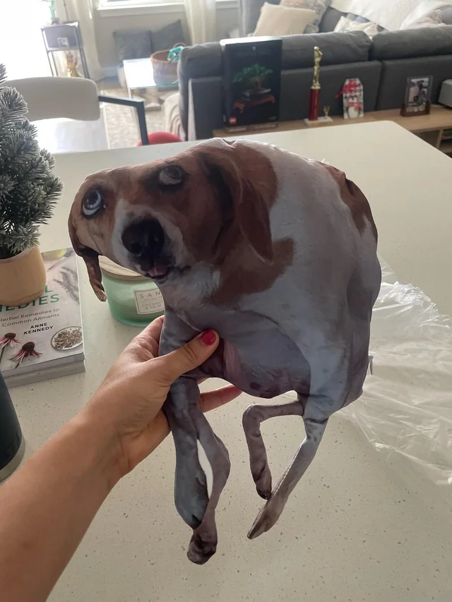 A blurry photo of a dog turned into a lumpy shaped pillow, held over a kitchen counter